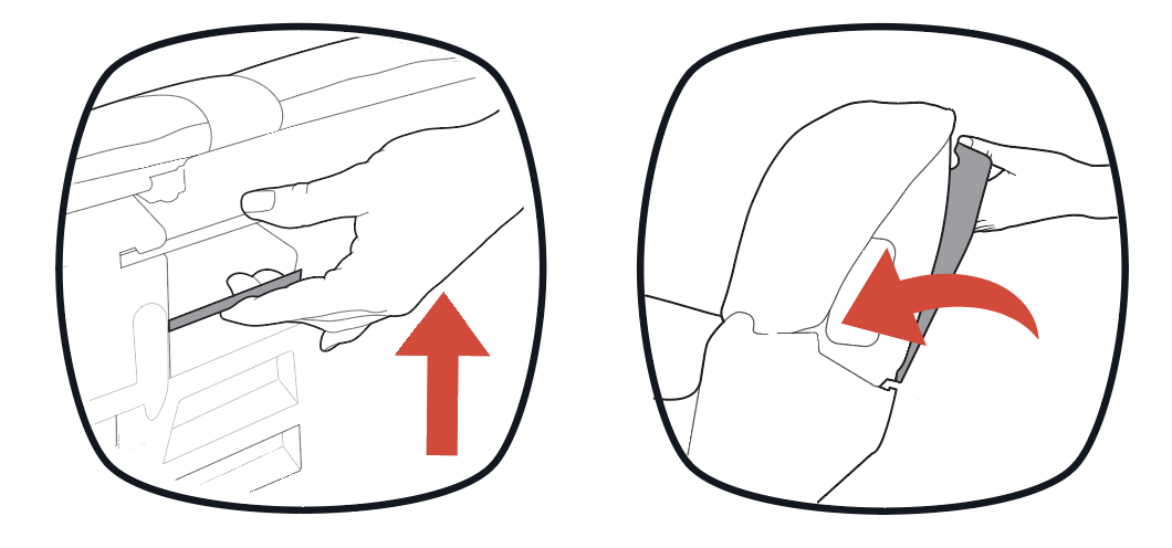 raiseadjustaleBase.png